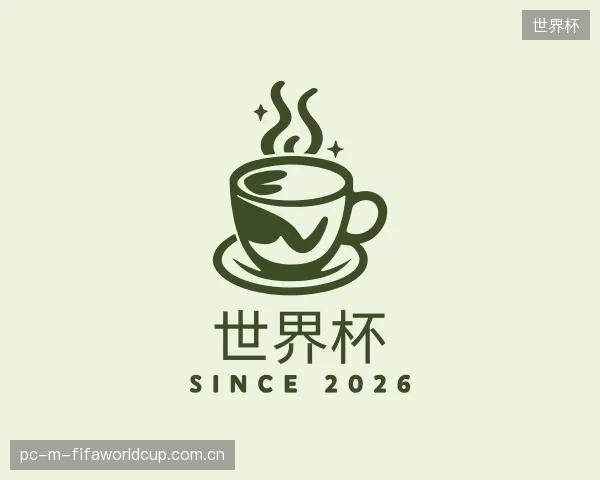 解读世界杯平台